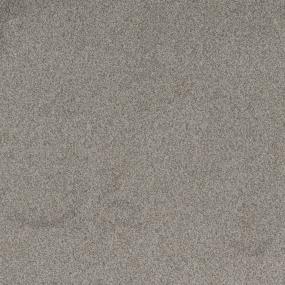 Textured Saxony Carved Stone Beige/Tan Carpet