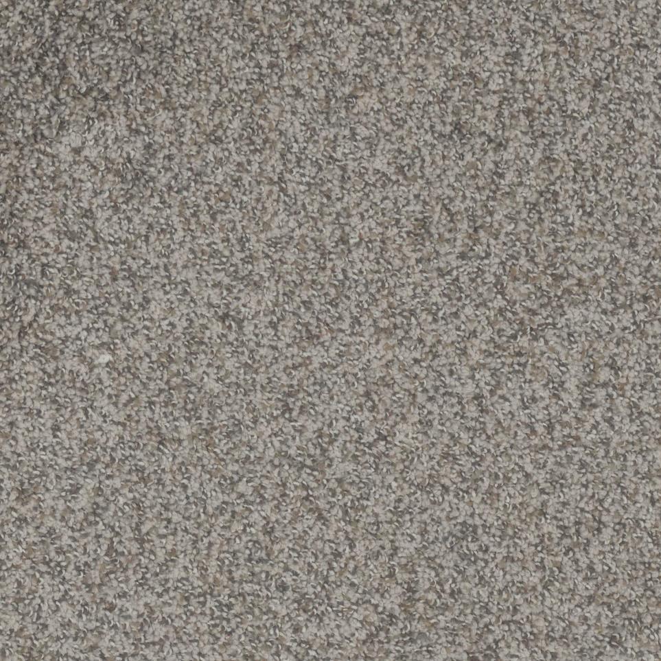 Texture Carved Stone Beige/Tan Carpet