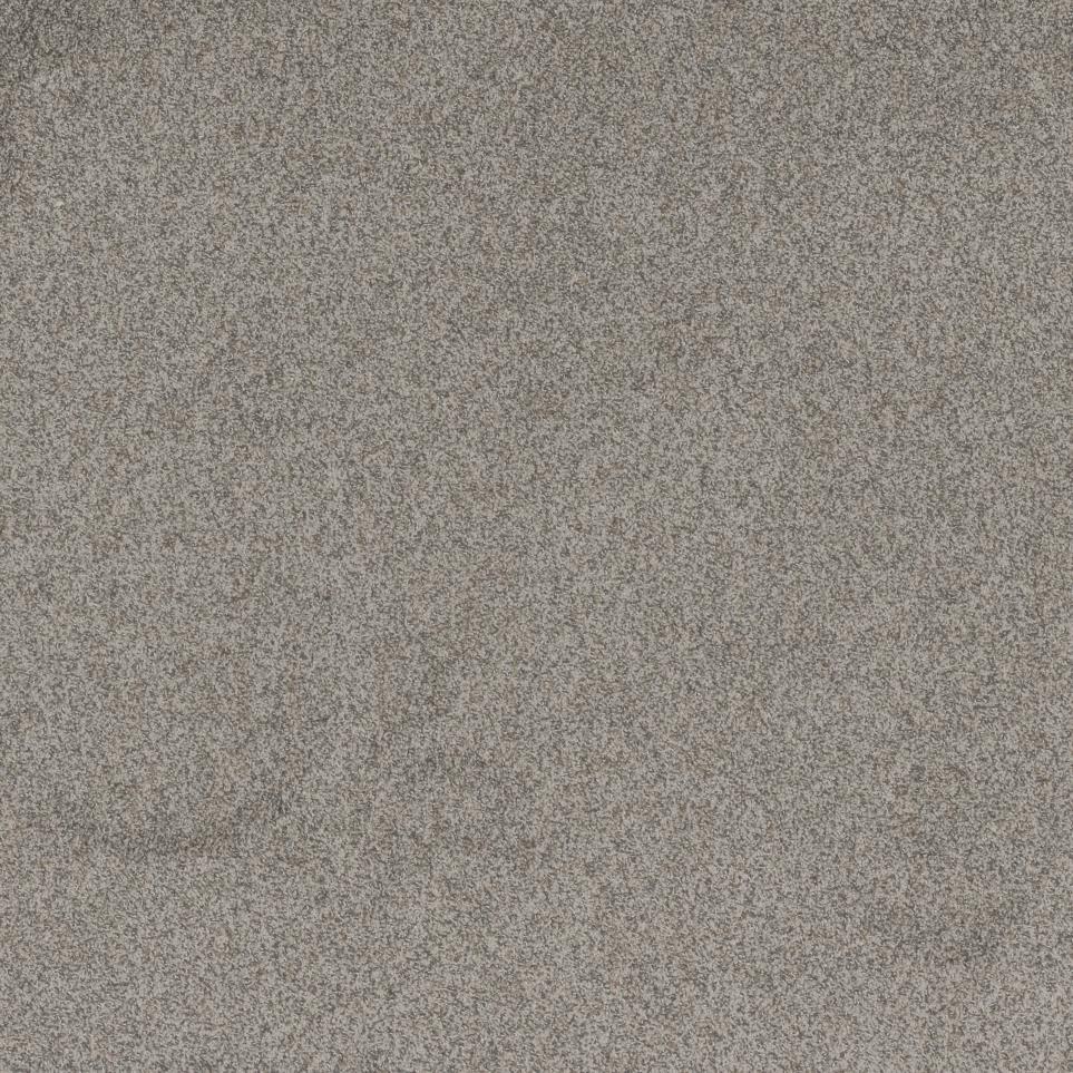 Texture Carved Stone Beige/Tan Carpet