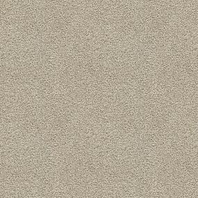 Textured Saxony Potential Beige/Tan Carpet