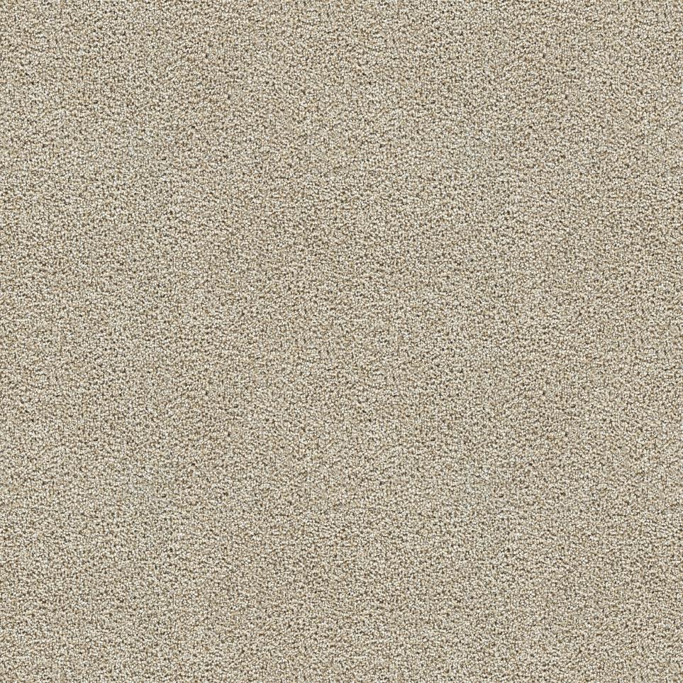 Textured Saxony Potential Beige/Tan Carpet