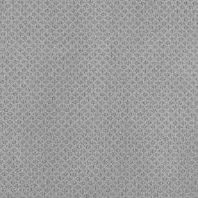 Pattern Elegant Ash Blue Carpet
