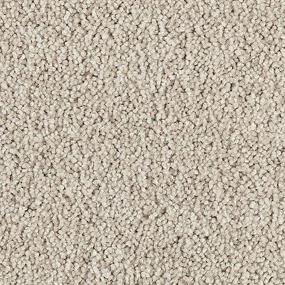 Texture Misty Drift Brown Carpet