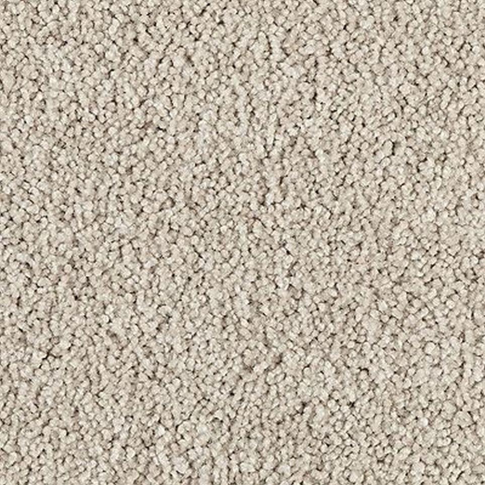 Texture Misty Drift Brown Carpet