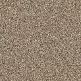 Textured Saxony Southern Comfort Brown Carpet