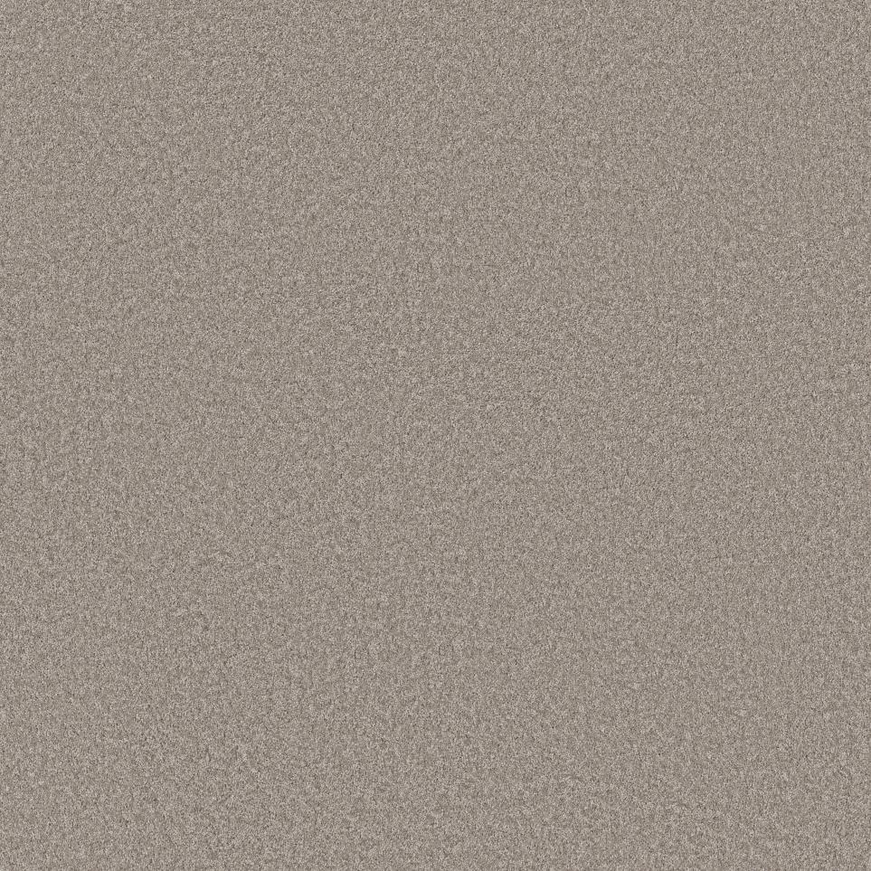 Cut Pile MISTY HARBOR Gray Carpet