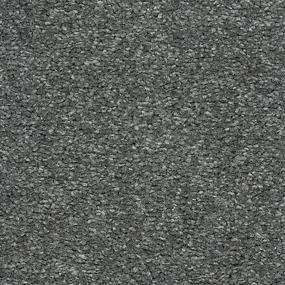 Textured Saxony Dragonfly Gray Carpet