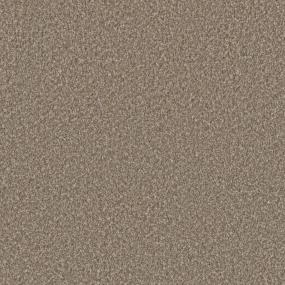 Textured Saxony Mission Hills Brown Carpet