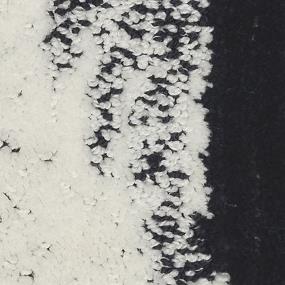 Pattern Amplified Black Carpet