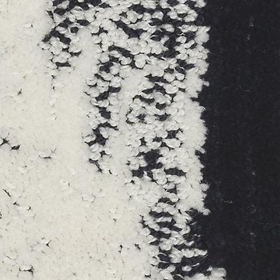 Pattern Amplified Black Carpet