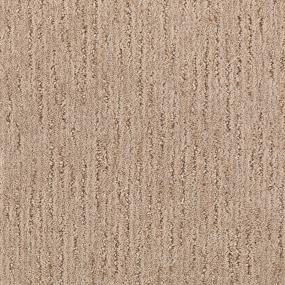 Pattern Chenille Beige/Tan Carpet