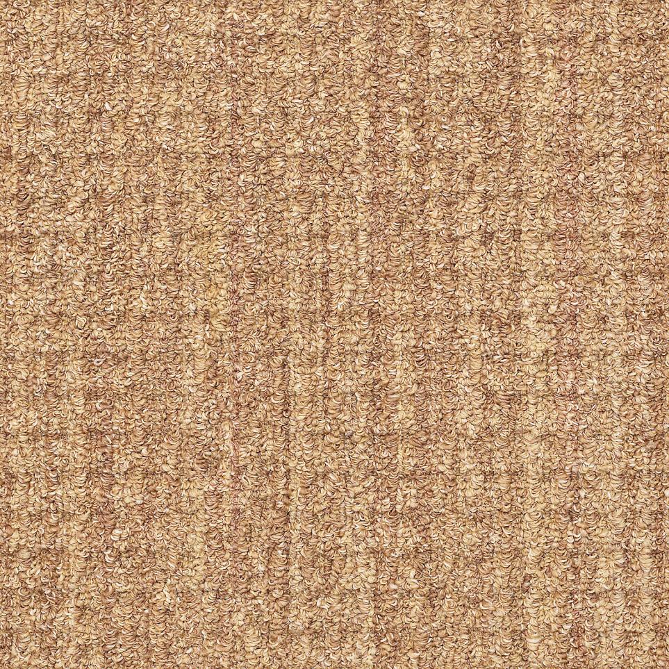 Loop Hidden Treasure Beige/Tan Carpet