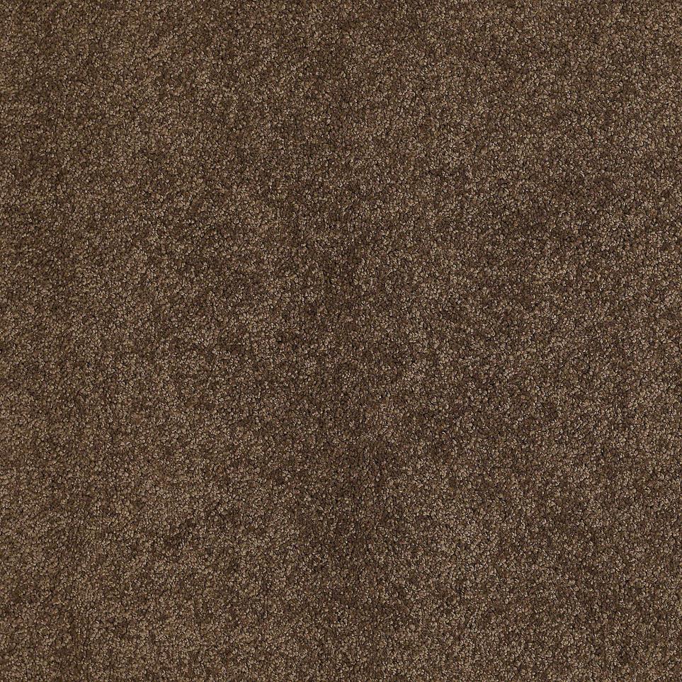 Texture Sleeping Bear Brown Carpet