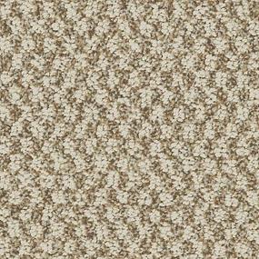 Pattern Ginger Snap Beige/Tan Carpet