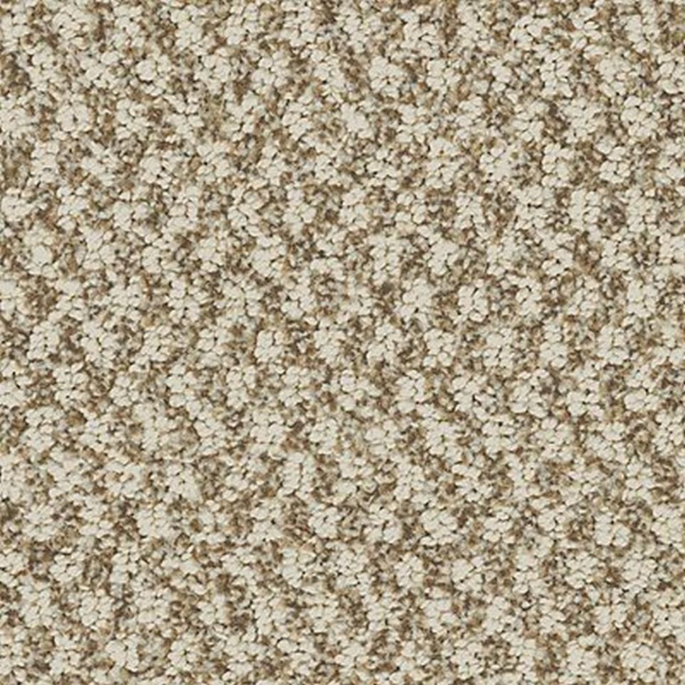 Pattern Ginger Snap Beige/Tan Carpet