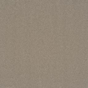 Textured Saxony Marble Beige/Tan Carpet