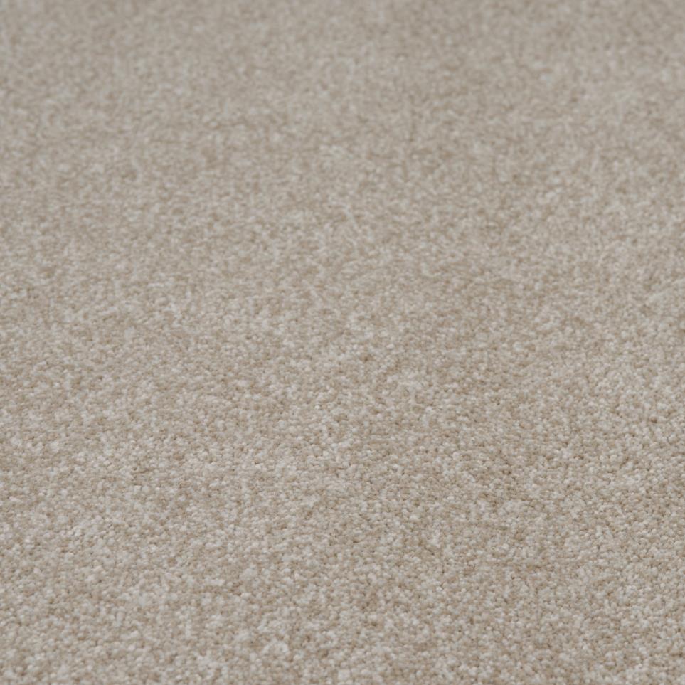 Textured Saxony Marble Beige/Tan Carpet