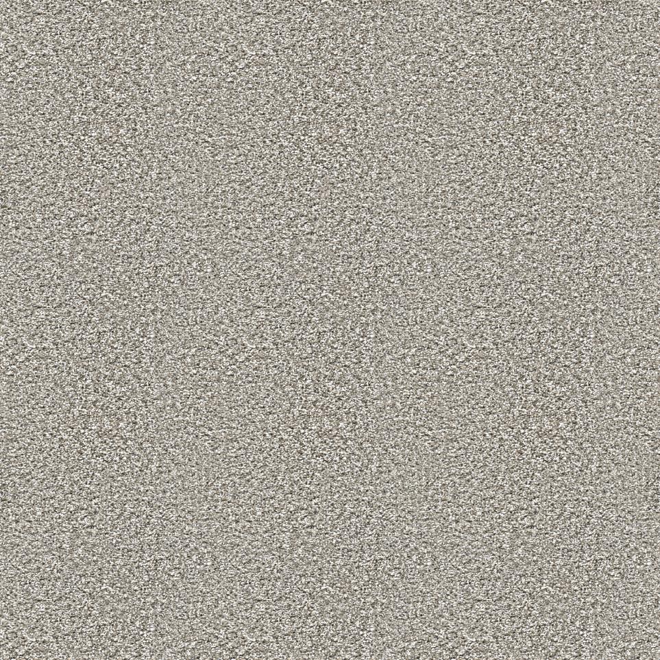 Texture Applause Beige/Tan Carpet