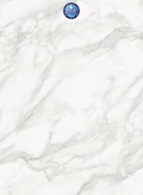 Tile Marble Canyon Gray Vinyl