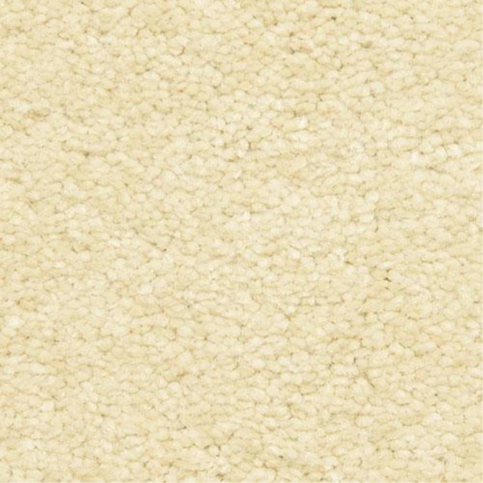 Casual Texture Florecer Beige/Tan Carpet