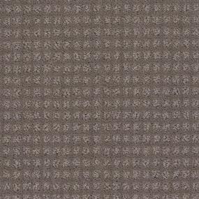 Pattern Chalkboard Brown Carpet