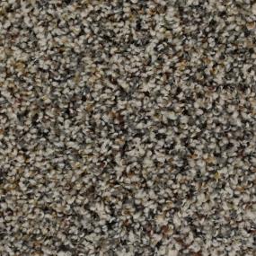 Textured Saxony Winter Oak Gray Carpet