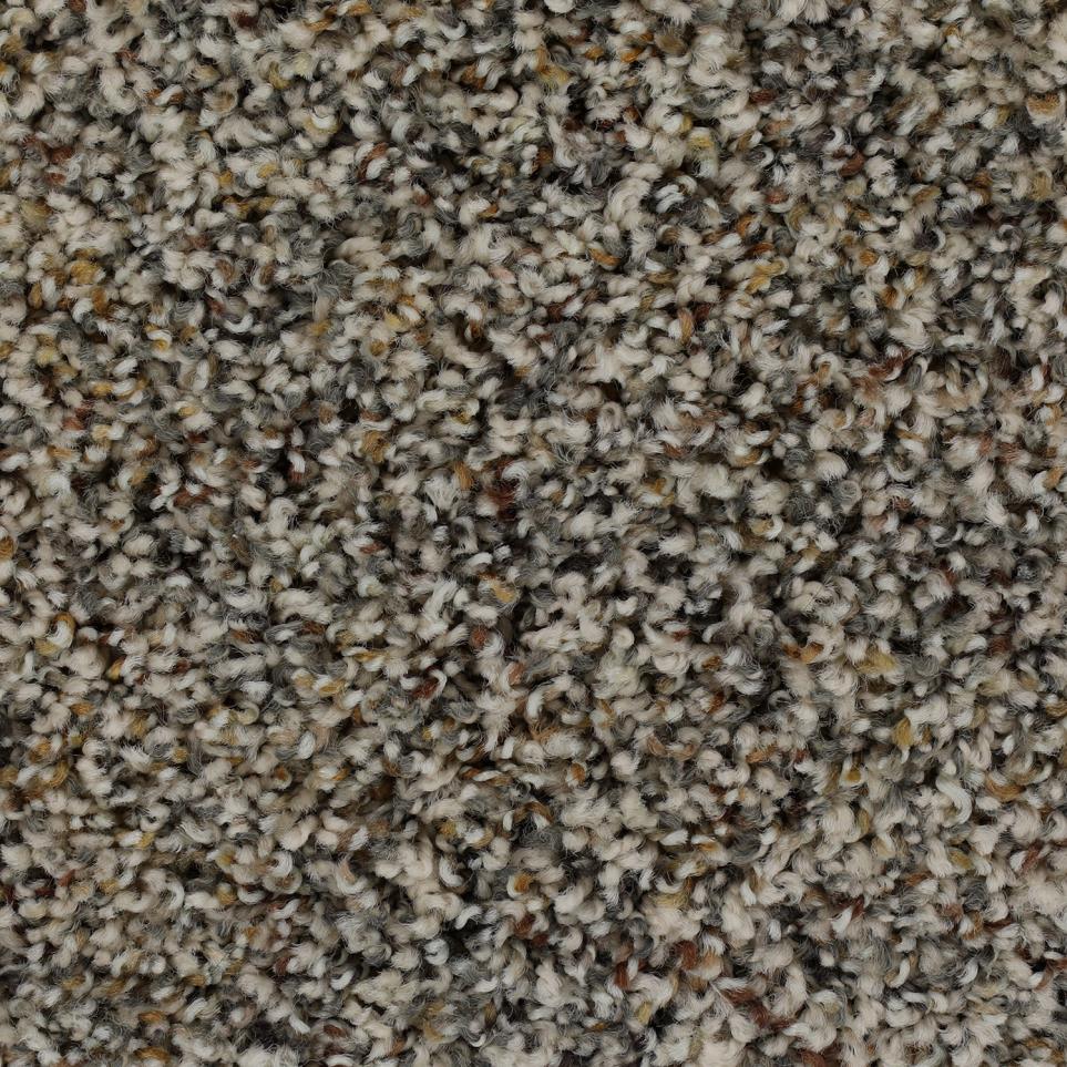 Texture Winter Oak  Carpet