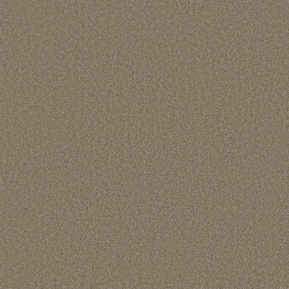 Textured Saxony Honeybear Beige/Tan Carpet