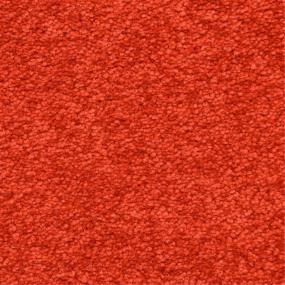 Casual Texture Red Hot Red Carpet