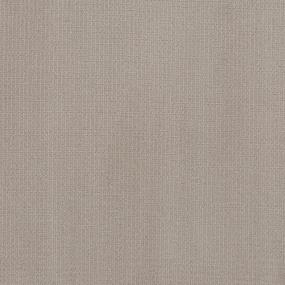 Pattern Bittersweet Beige/Tan Carpet
