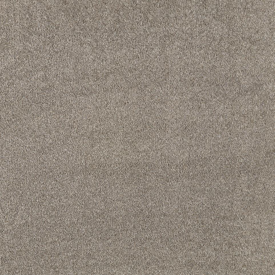 Texture Patron Brown Carpet