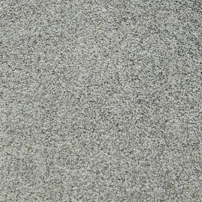 Textured Saxony Cypress Gray Carpet