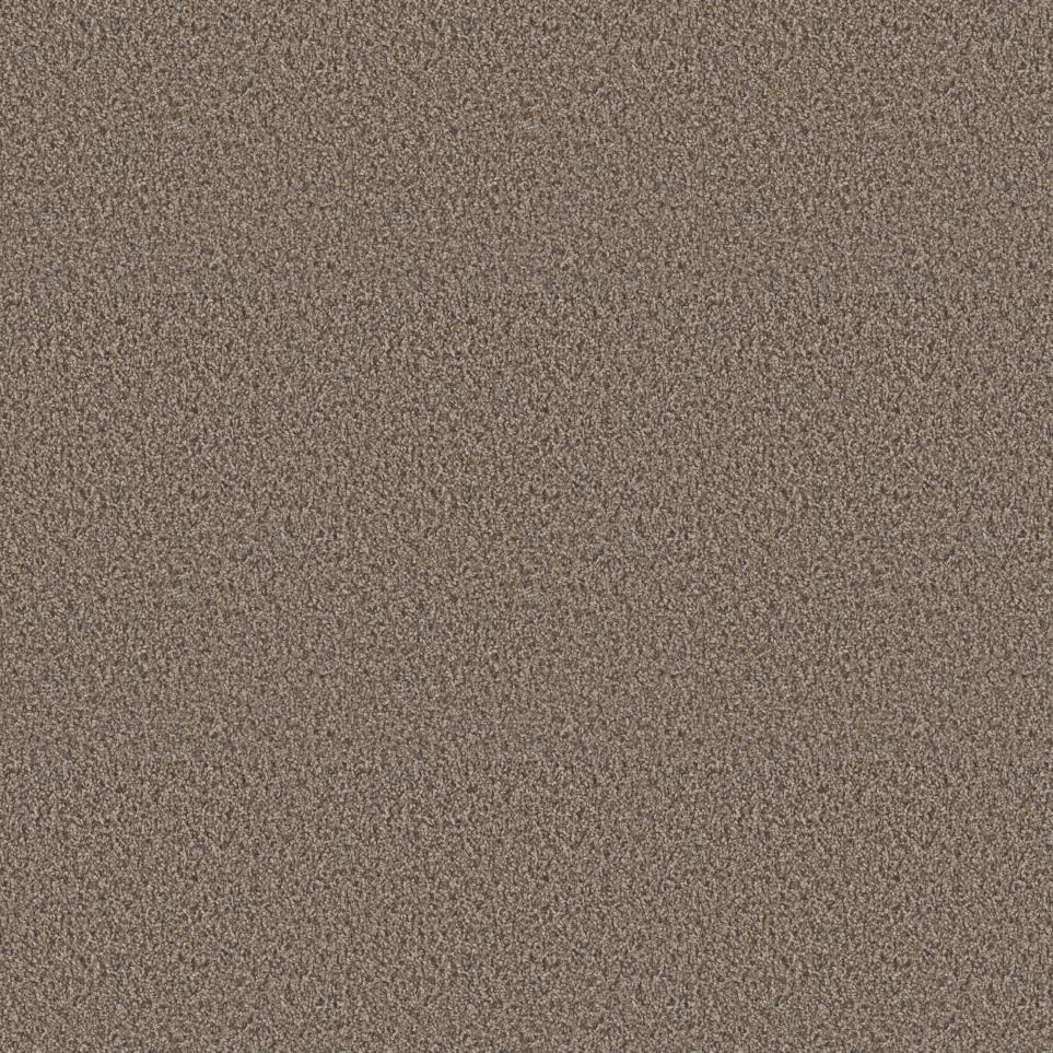 Texture Portofino Beige/Tan Carpet