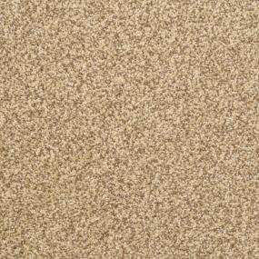 Casual Texture Monarch Beige/Tan Carpet