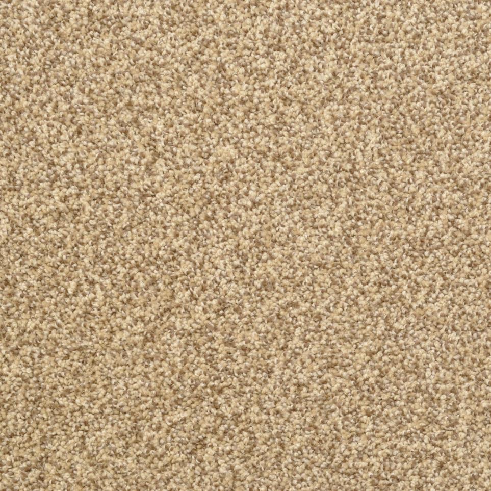 Casual Texture Monarch Beige/Tan Carpet