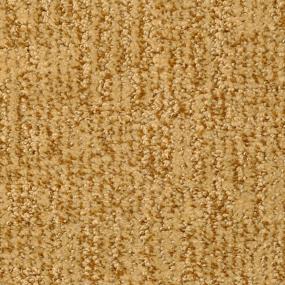 Pattern Imperial Brown Carpet