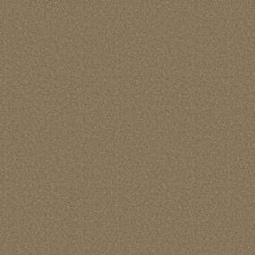 Textured Saxony Rodeo Brown Carpet
