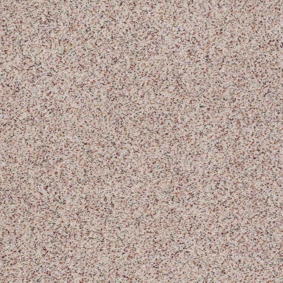 Texture Bleached Sand Beige/Tan Carpet