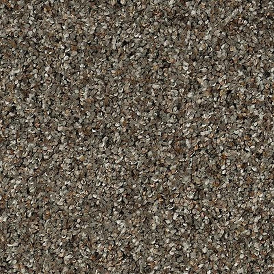 Textured Saxony Polished Ebony Brown Carpet