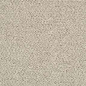 Pattern Parchment Beige/Tan Carpet
