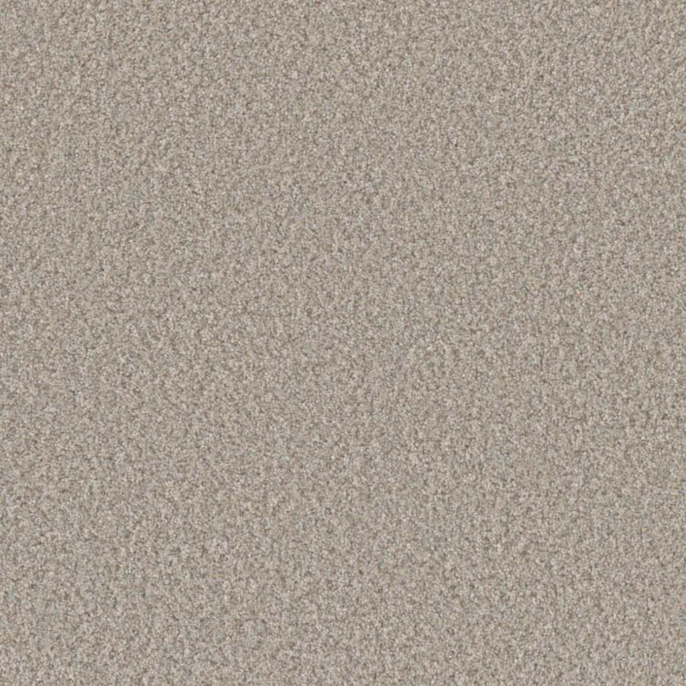 Textured Saxony Showpiece Gray Carpet