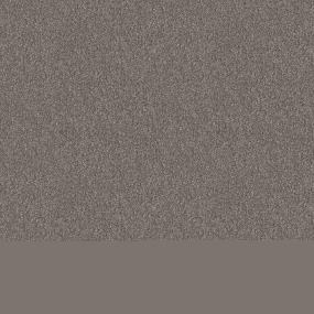 Textured Saxony Worn Saddle Gray Carpet