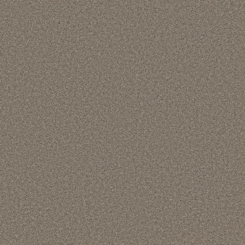 Texture Timber Gray Carpet