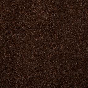 Casual Texture Cola Brown Carpet