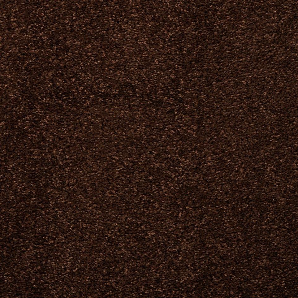 Casual Texture Cola Brown Carpet