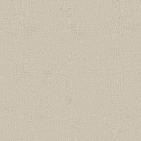 Pattern Subtle Beige Beige/Tan Carpet