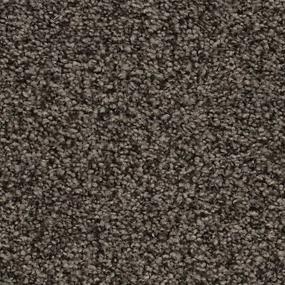Textured Saxony Iron Gate Gray Carpet