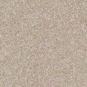 Texture Youthful Beige/Tan Carpet