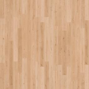 Plank Tomales Twilight Light Finish Laminate