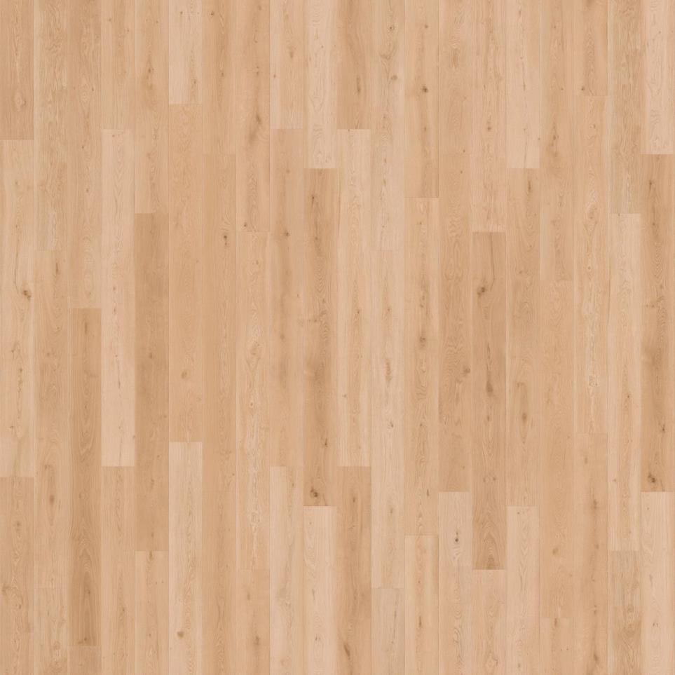 Plank Tomales Twilight Light Finish Laminate